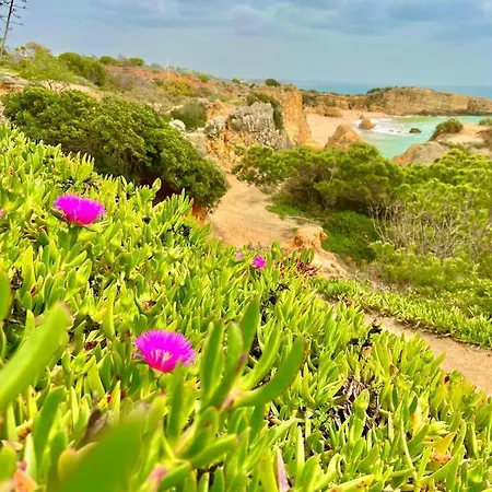 Marina Zen - Orada, Apartamento