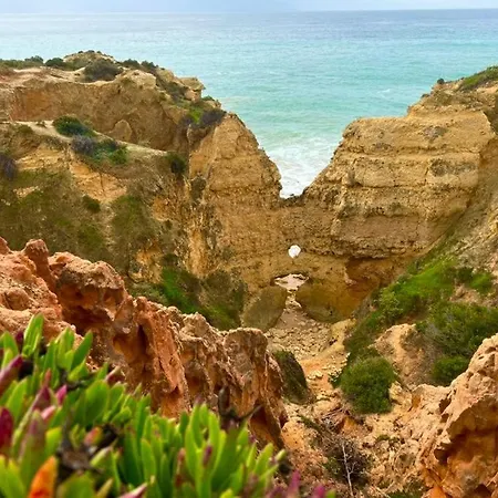 Marina Zen - Orada, Apartament *