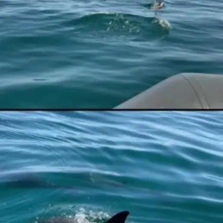 Lejlighed Marina Zen - Orada, Albufeira