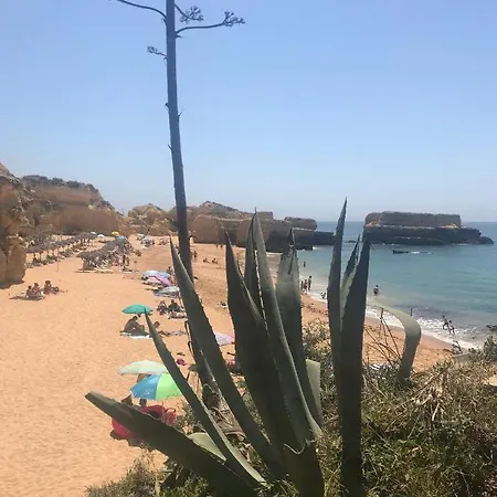 Apartament Marina Zen - Orada,