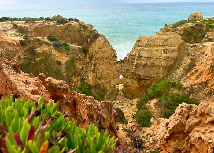 Marina Zen - Orada, Apartamento *