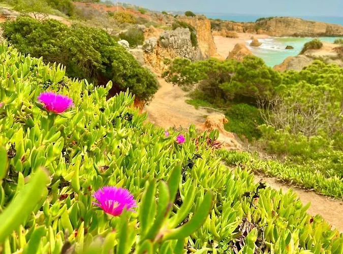 Marina Zen - Orada, Apartamento