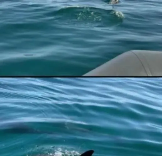 Apartamento Marina Zen - Orada, Albufeira