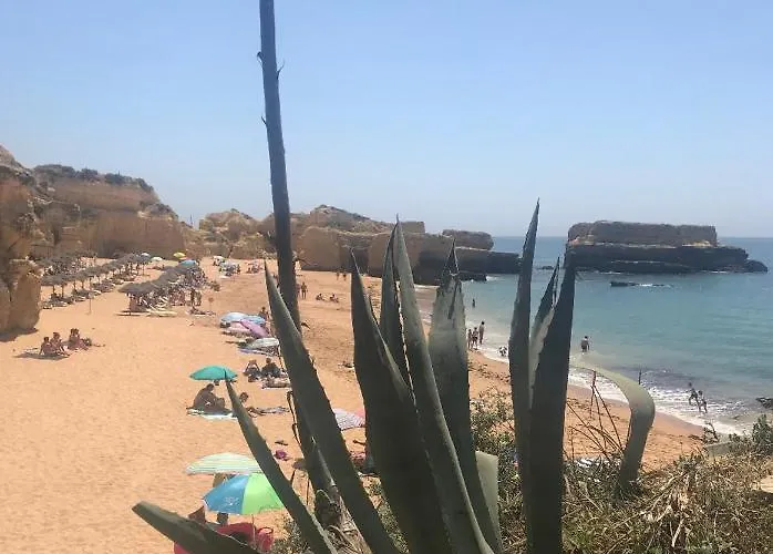 Apartamento Marina Zen - Orada,